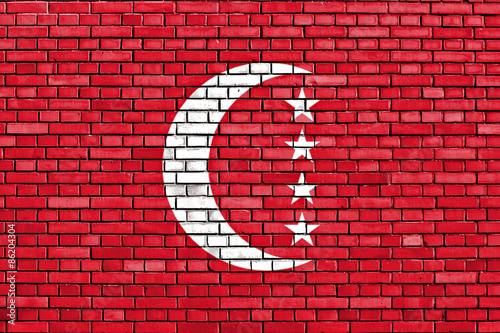 flag of Anjouan painted on brick wall photo