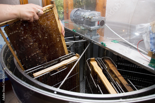 Honey extractor