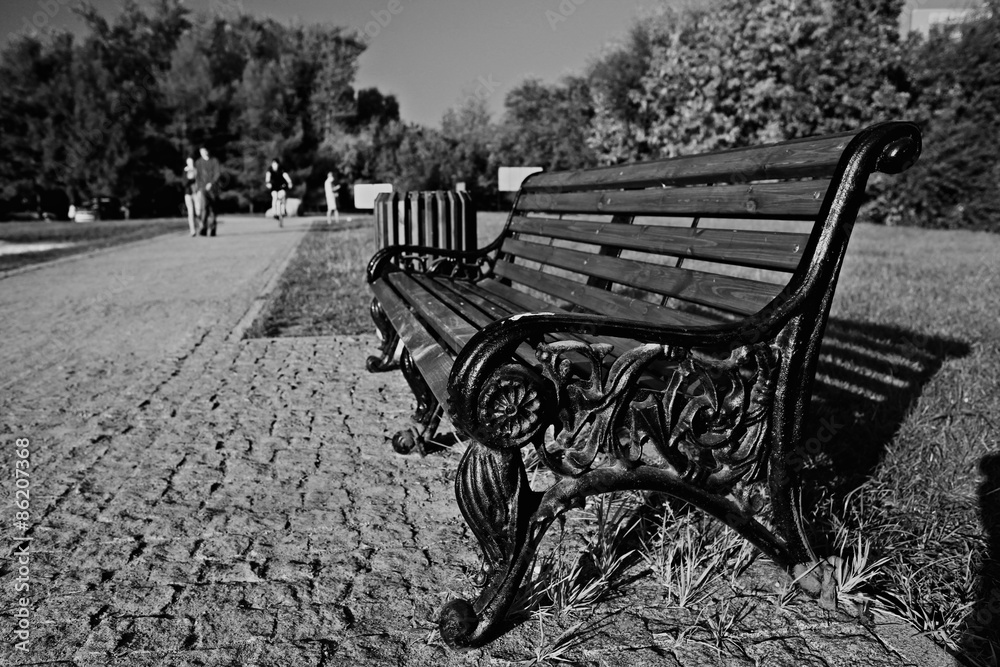 Park bench autumn urban landscape recreation