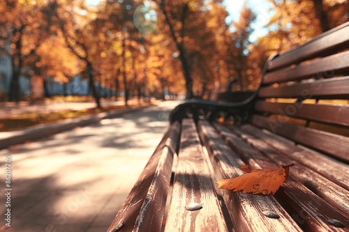 Obraz na plátně Park bench autumn urban landscape recreation