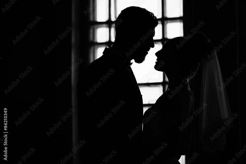 silhouette of a young bride and groom