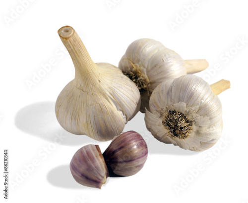 the head and the cloves of garlic on an isolated background
