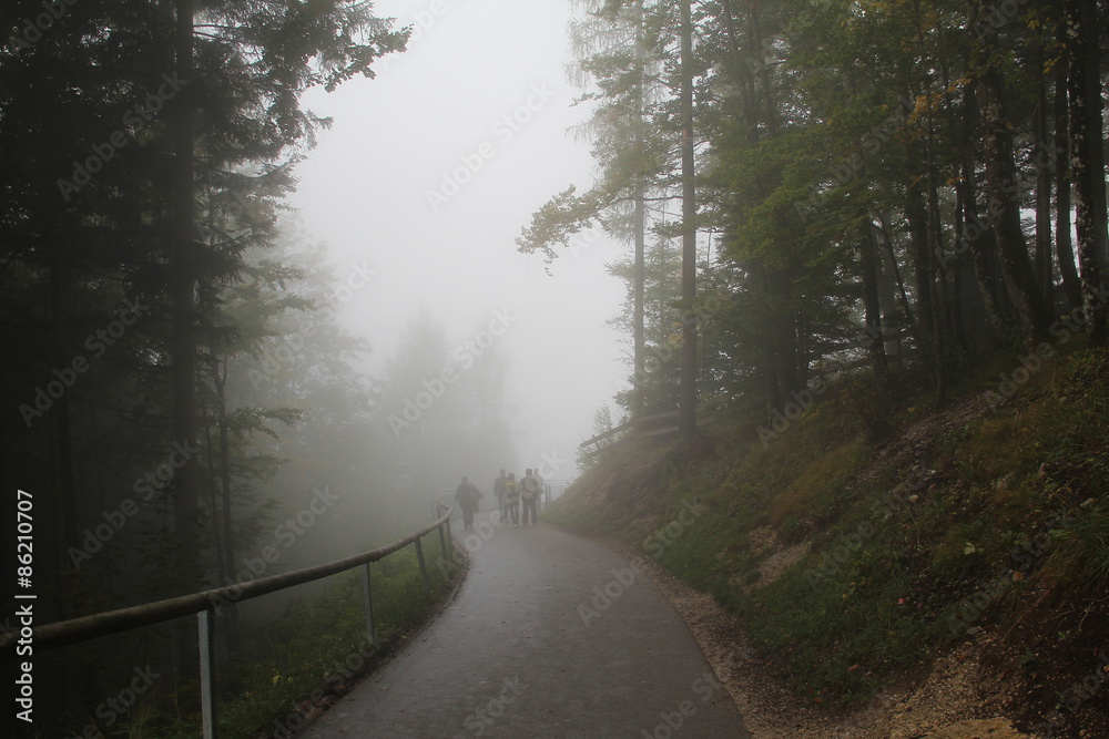 Obraz premium Fog / Road going into the misty forest