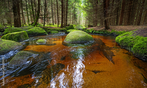 Fotografia brook in forest , Sumava, Czech republic, Europe