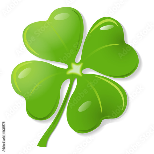 Green clover vector