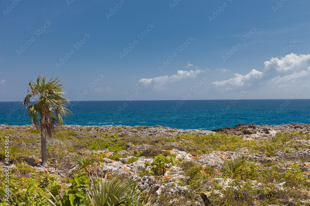 Shore of Grand Cayman Island, Cayman Islands