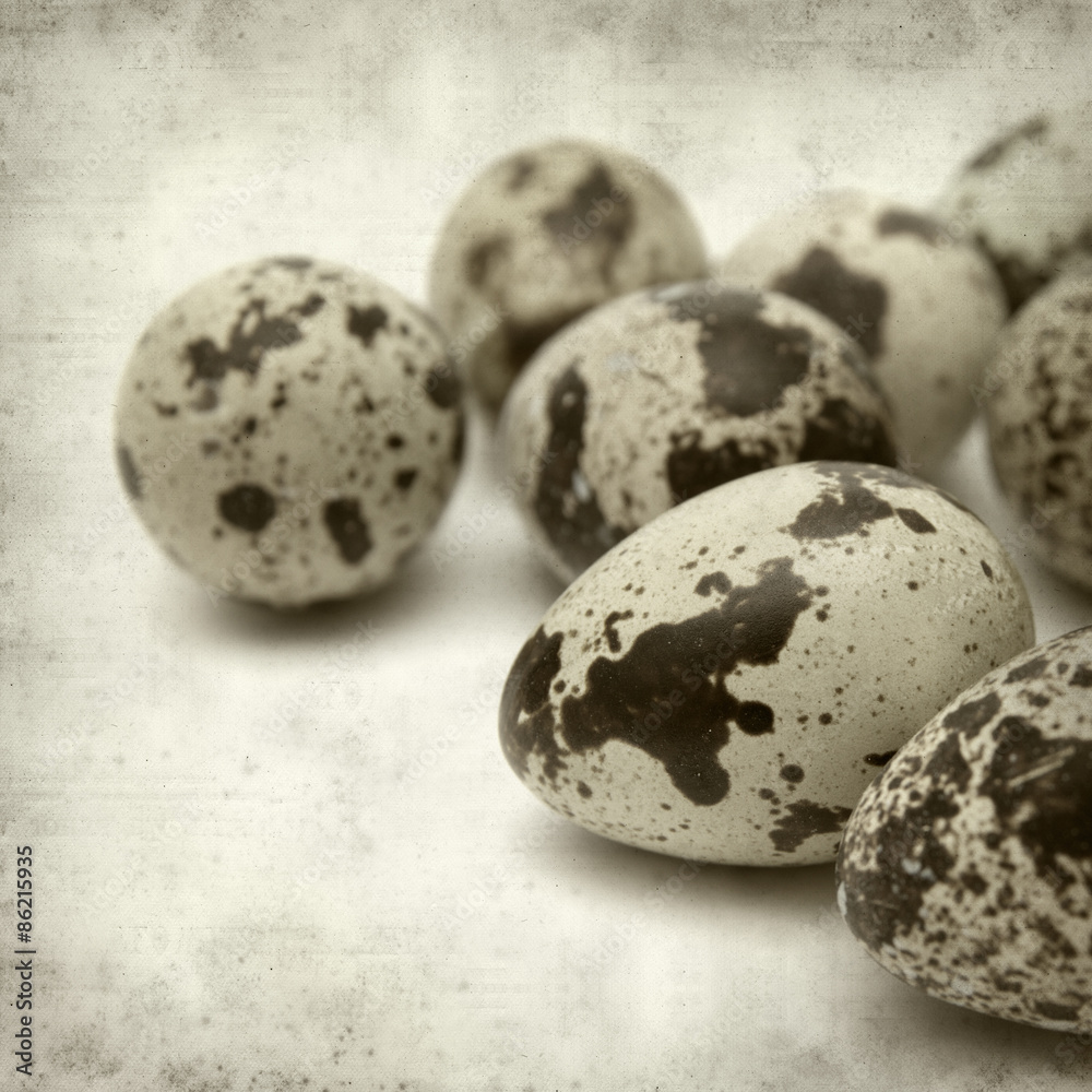 Obraz premium textured old paper background