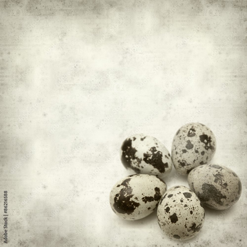 Obraz premium textured old paper background