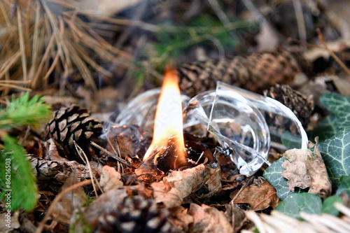 Waldbrand ausgelöst durch weggeworfenes Glas photo