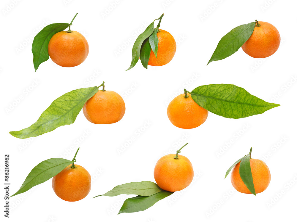 Set of ripe mandarines with green leaf taken closeup.Isolated.