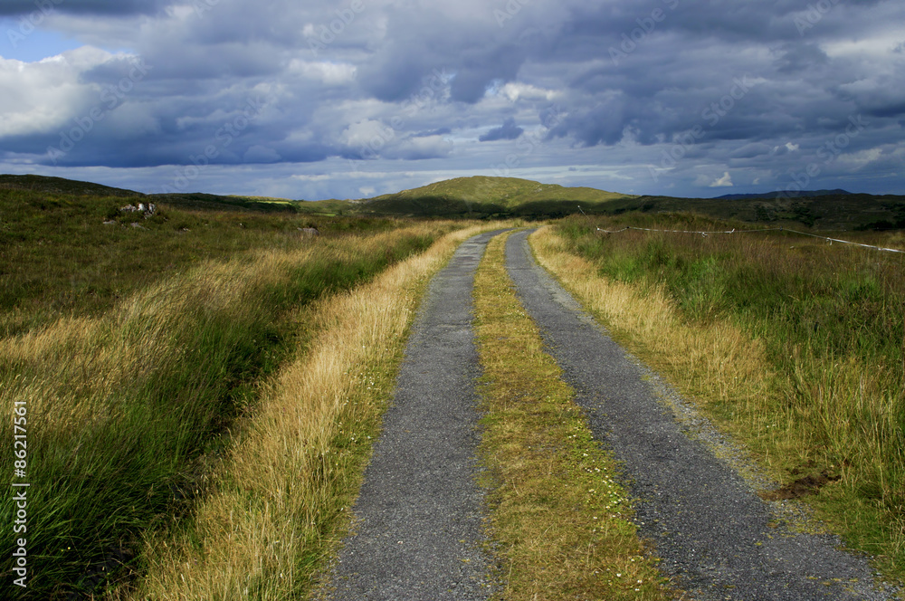 Mountain Track in Ireland Mountain Track in Ireland