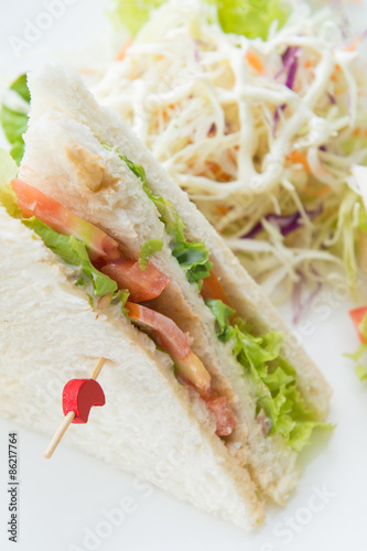 fresh tuna sanwich with vegetable