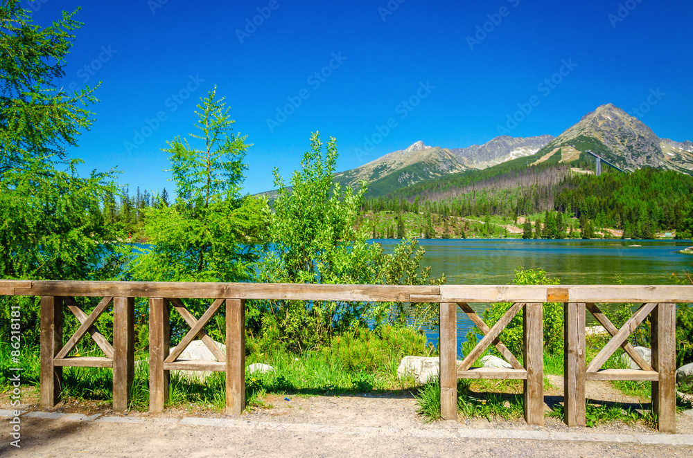 Mountain lake on background of green trees