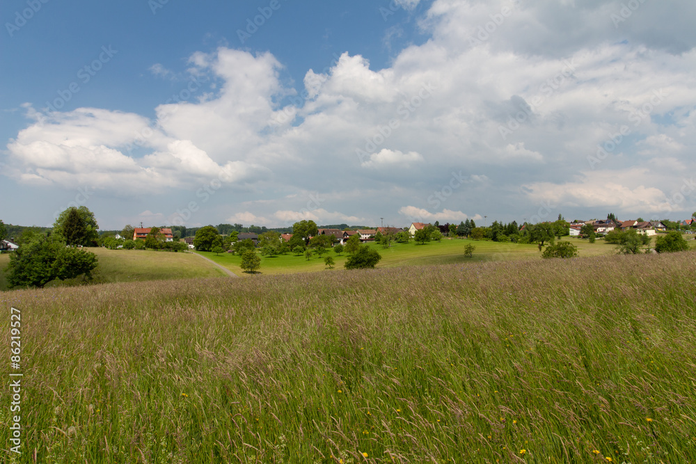 Fototapeta premium Sommerwiese auf dem Dinkelberg