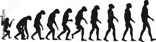 human evolution photo