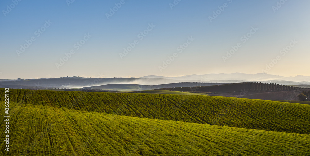 Naklejka premium paisaje