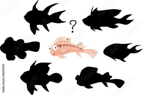 Find silhouette of marine fish