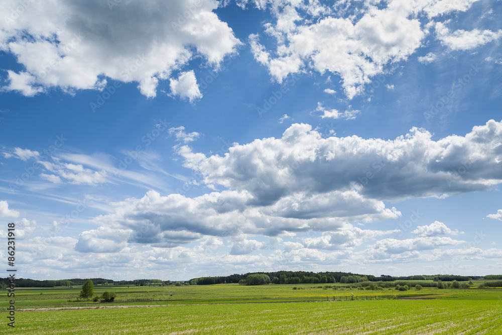 Agricultural landscape.