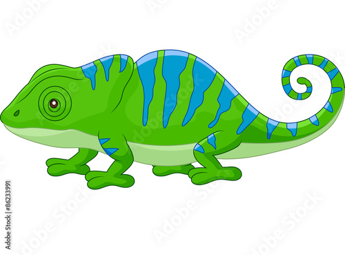 Cartoon cute Chameleon  © tigatelu