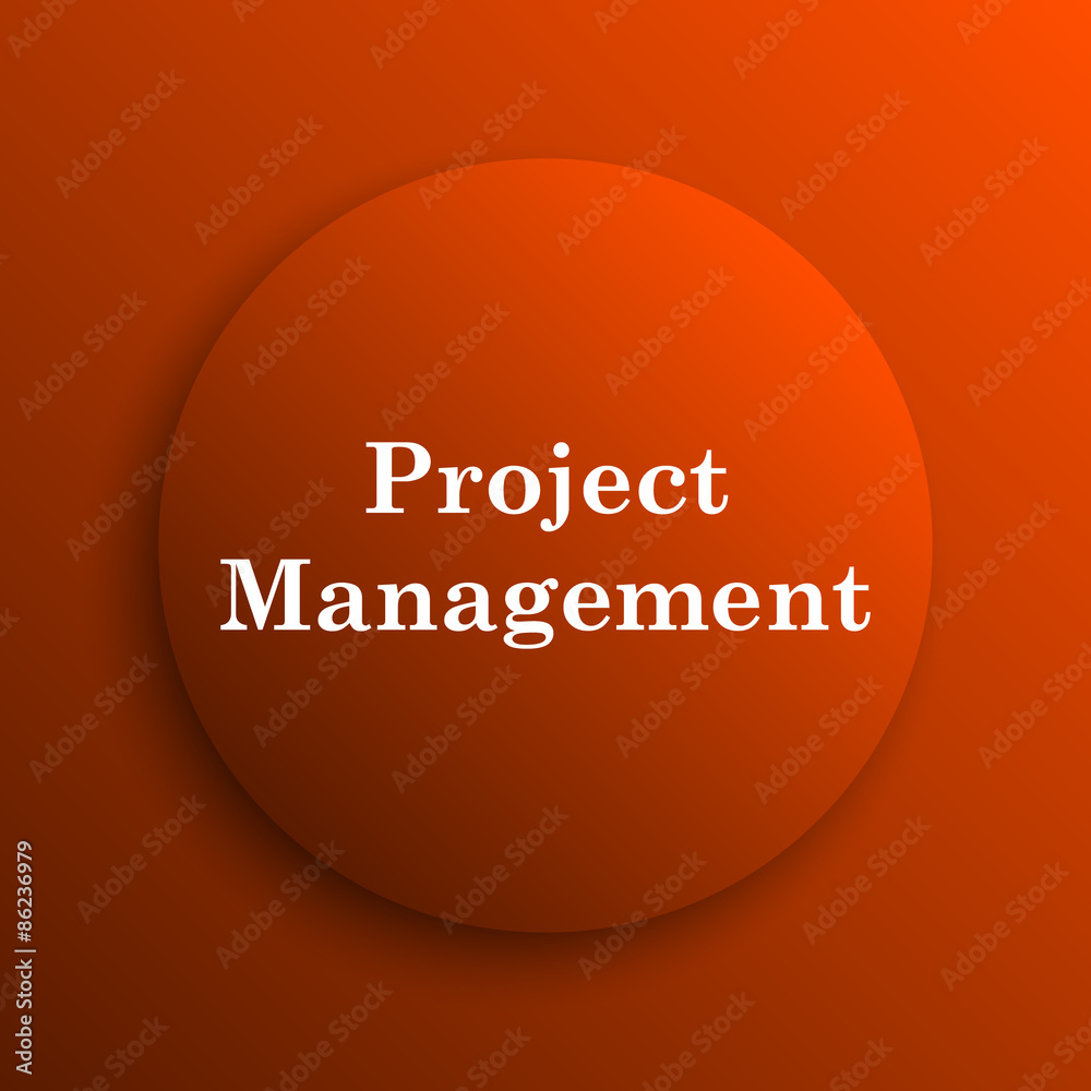 Project management icon