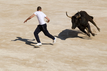 Poster Stierenvechten Spaanse stierengevecht met matador  © C. Schüßler
