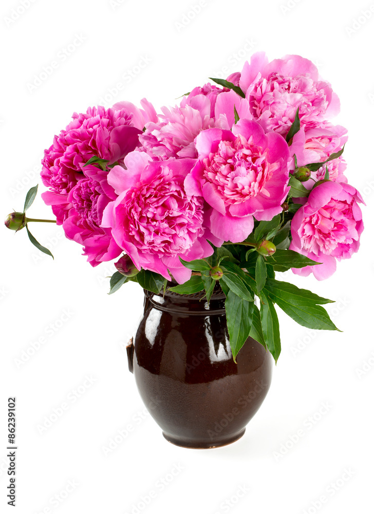 peonies in a clay vase over white peonies in a clay vase over white