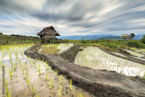 Terraced Rice Field in Pa Pong Pieng , Mae Chaem, Chiang Mai, Th
