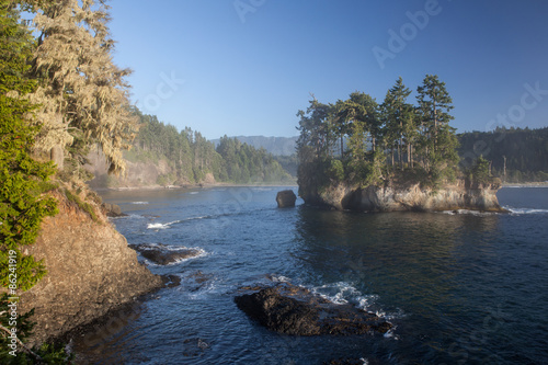 Coast of Olympic Peninsula