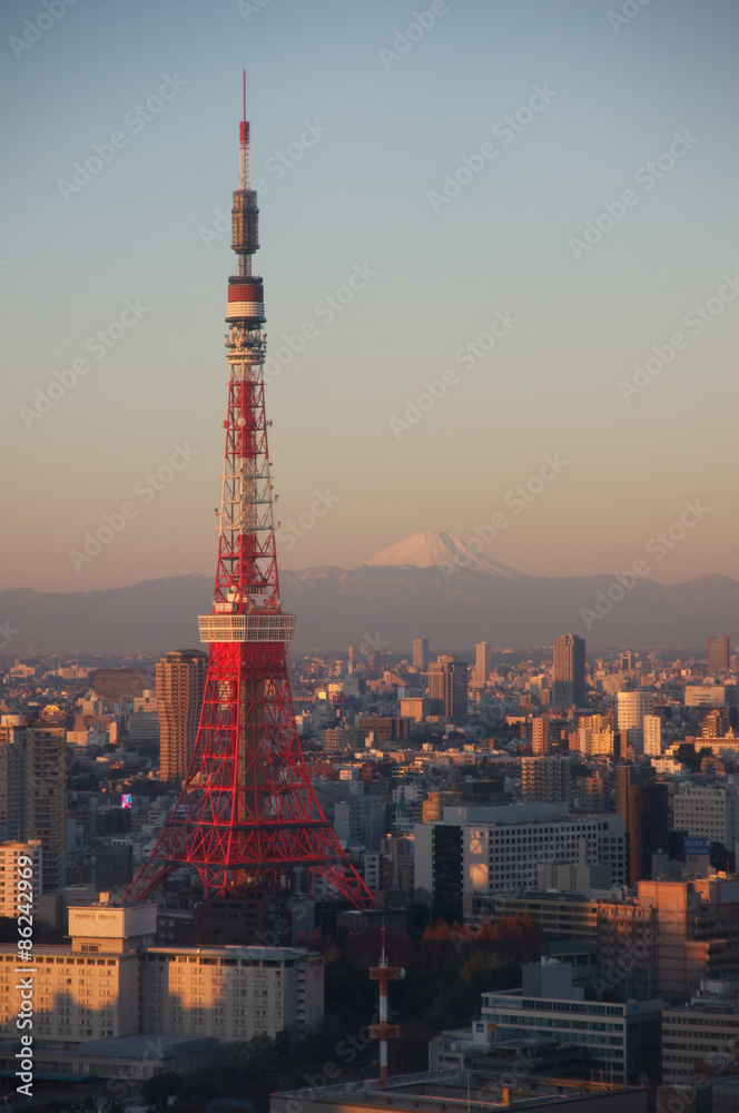 東京タワーと東京の街並み