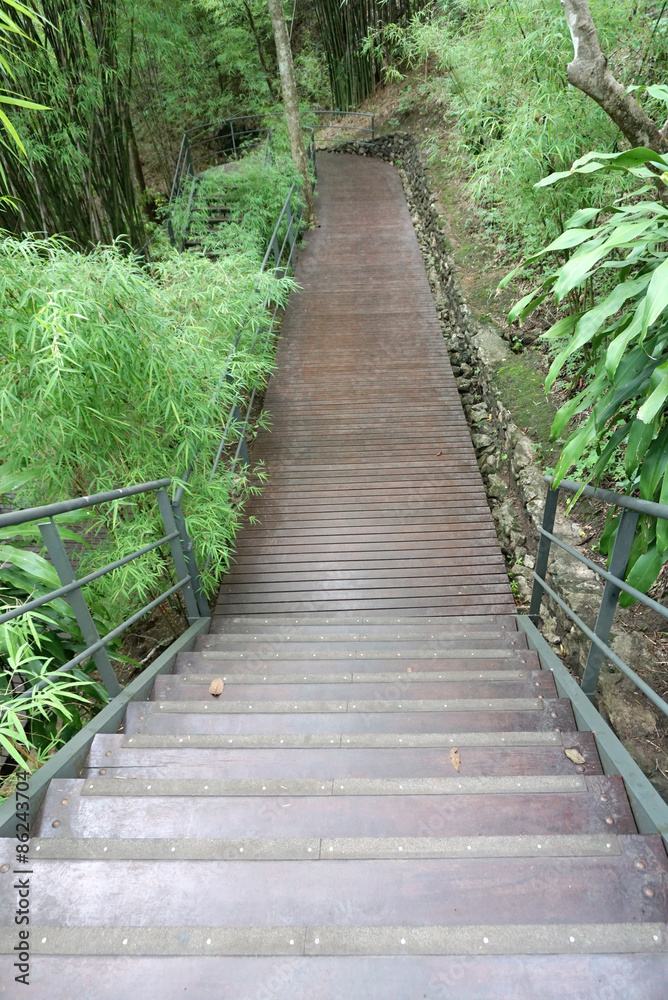 Obraz premium wooden walkway with handrail in the forest