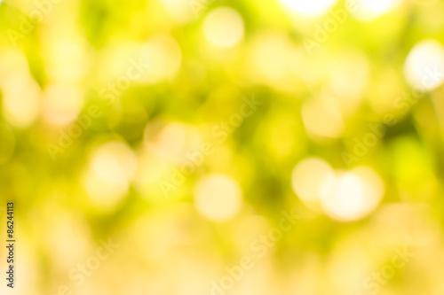 Natural blurred background