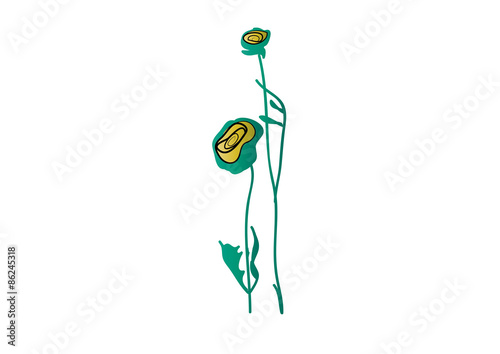 Blooms