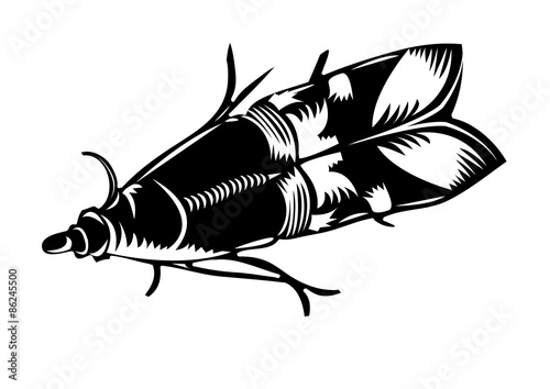 Moth