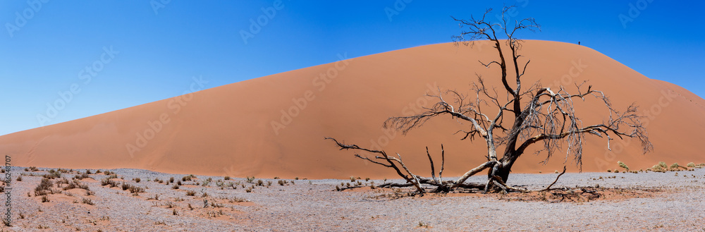 wide panorama Dune 45 in sossusvlei Namibia wide panorama Dune 45 in sossusvlei Namibia