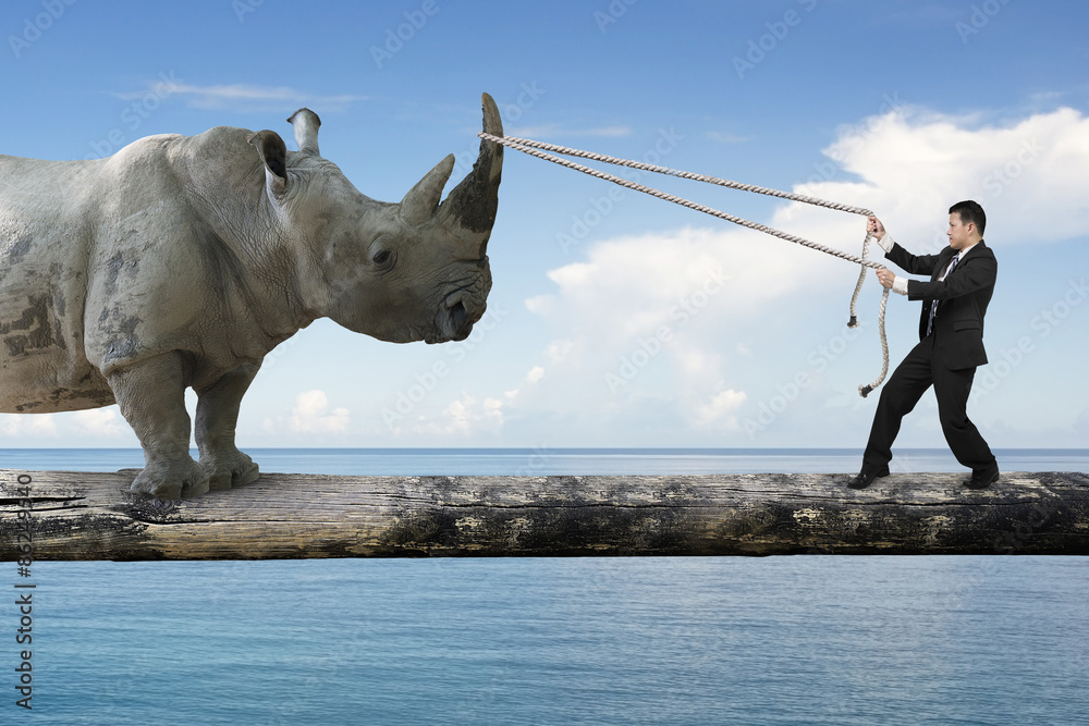 Fototapeta premium Businessman pulling rope against rhinoceros balancing on tree tr