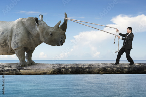 Businessman pulling rope against rhinoceros balancing on tree tr