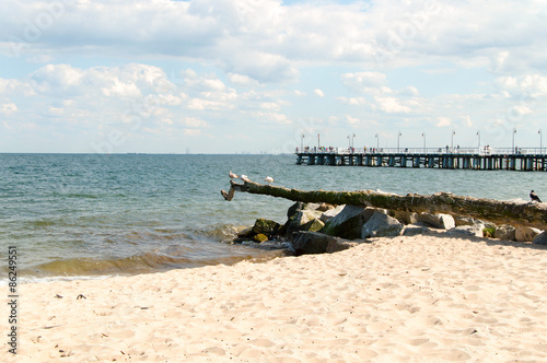 Gulls sitting on a limb on the sea front view of the pier in Gdynia. photo