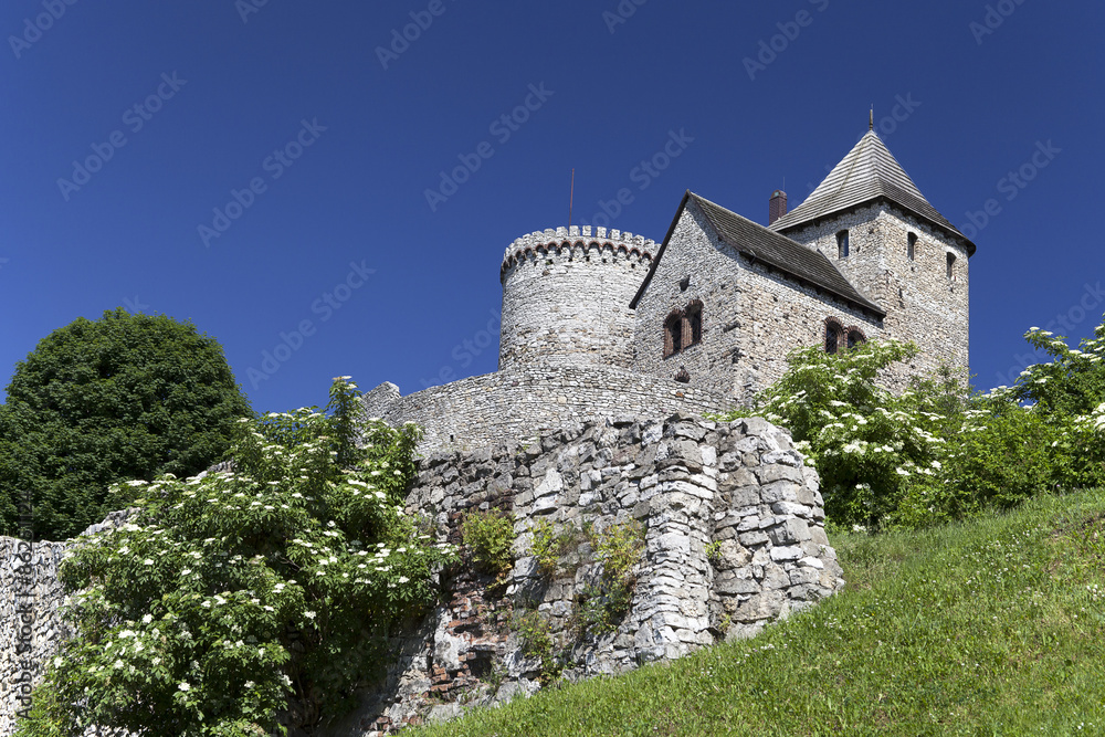 view on Bedzin Castle in Poland, Upper Silesia