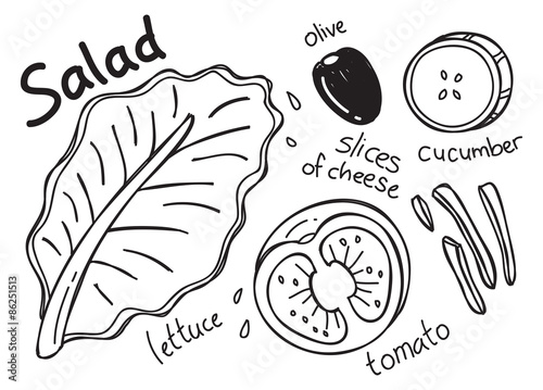 Salad in doodle style