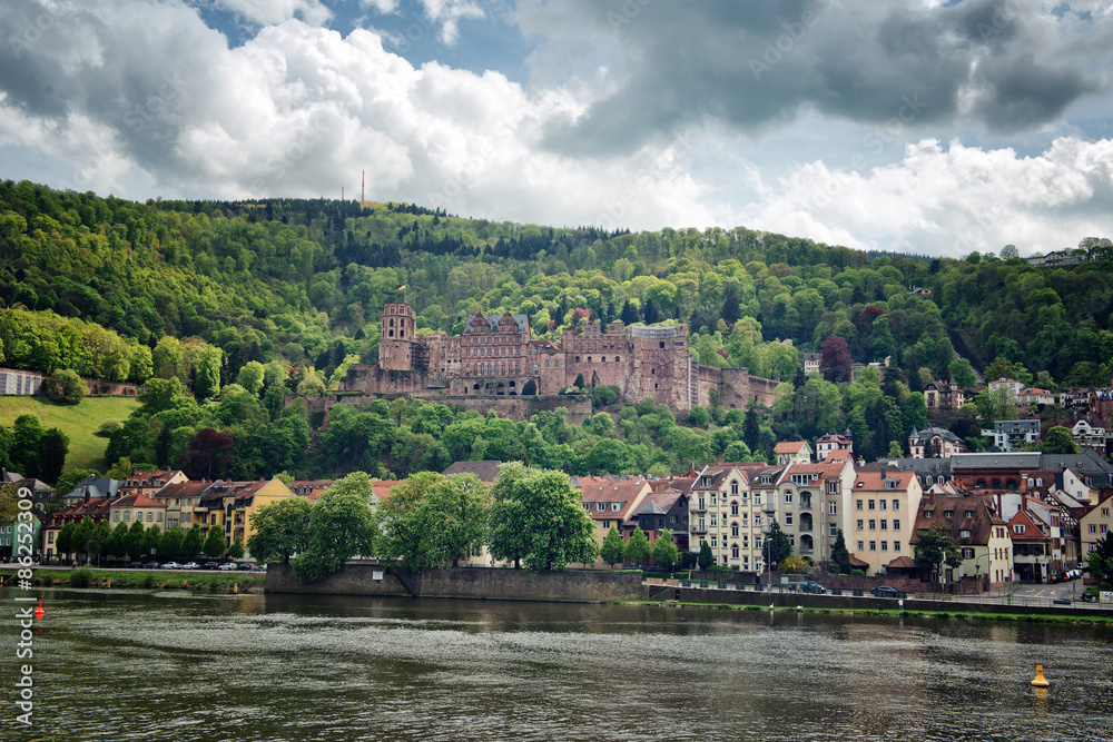 Heidelberg Castle and Town on Bank of Neckar River