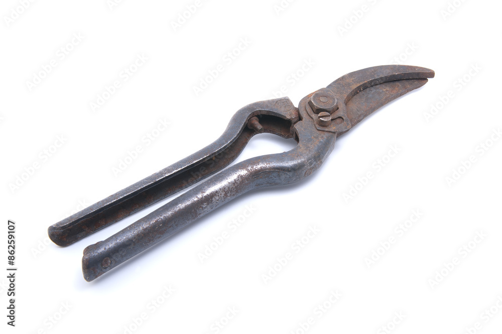 Old rusty garden pruner.. Old rusty garden pruner..