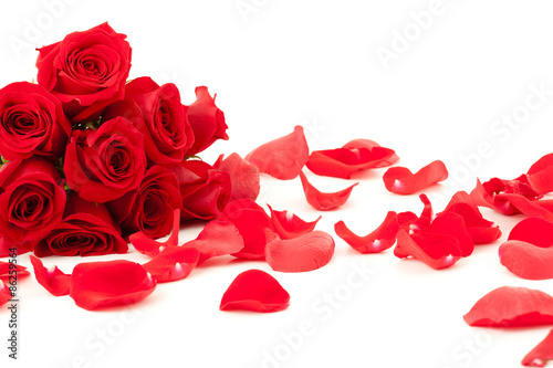 Fototapeta Naklejka Na Ścianę i Meble -  Red roses bunch and petals on a white background