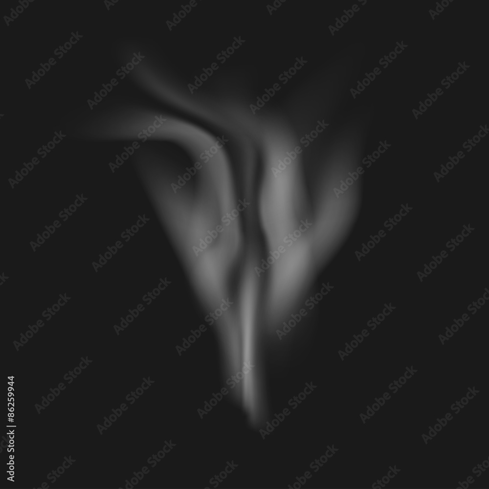 Vector realistic white smoke on a black