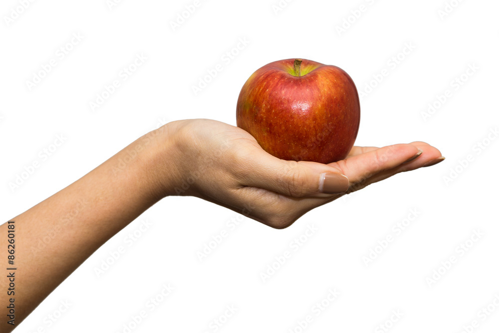 apple and hand - isolated on white apple and hand - isolated on white