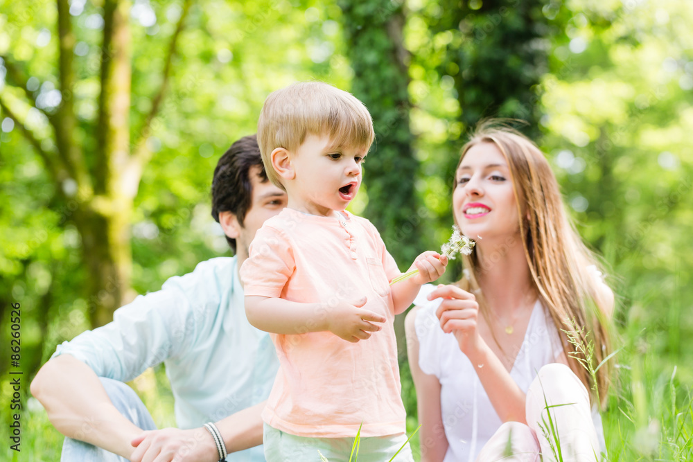 Family with son on meadow blowing dandelion seed Family with son on meadow blowing dandelion seed