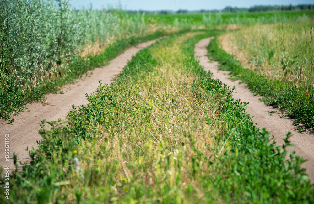 Rural road on sunny day. Rural road on sunny day.