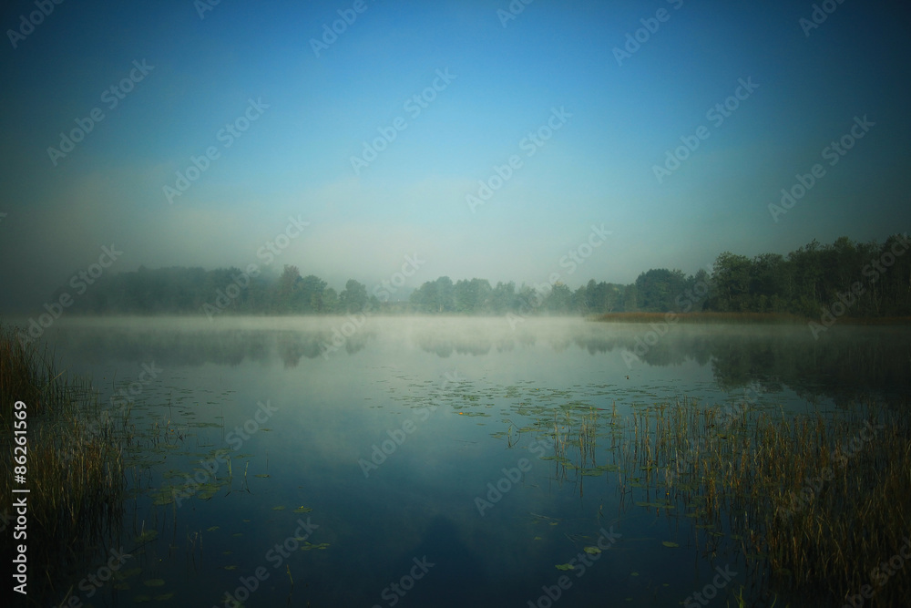 summer fog in the village summer fog in the village