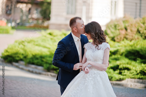 wedding couple on background of great historical palace