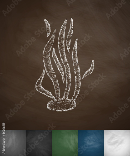 algae icon