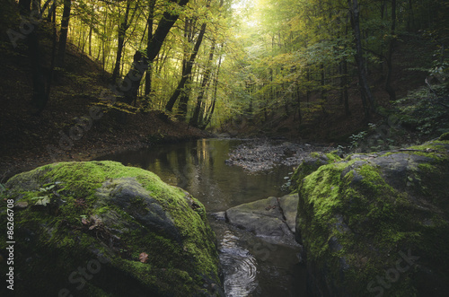 autumn landscape river in f...